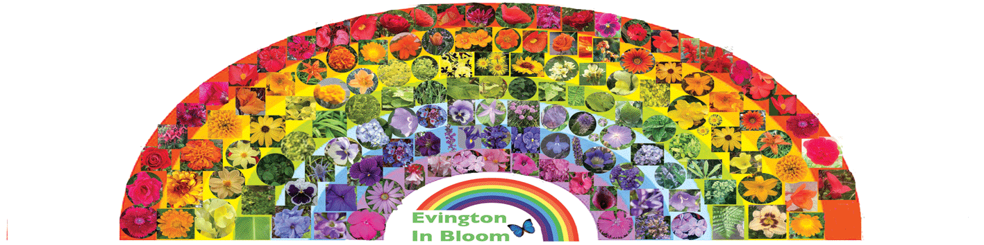 Evington in Bloom Evaluation 2024