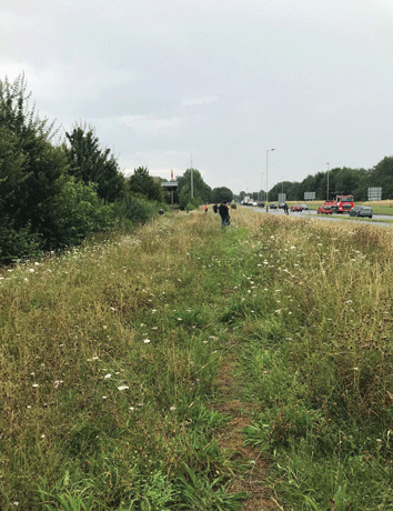 Launch of Biodiversity Action Plan for Leicester Venue:  Troon Way Verge  Date: 27TH JULY 2021