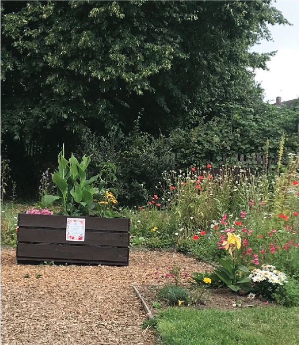 Developing a small local paradise in Evington