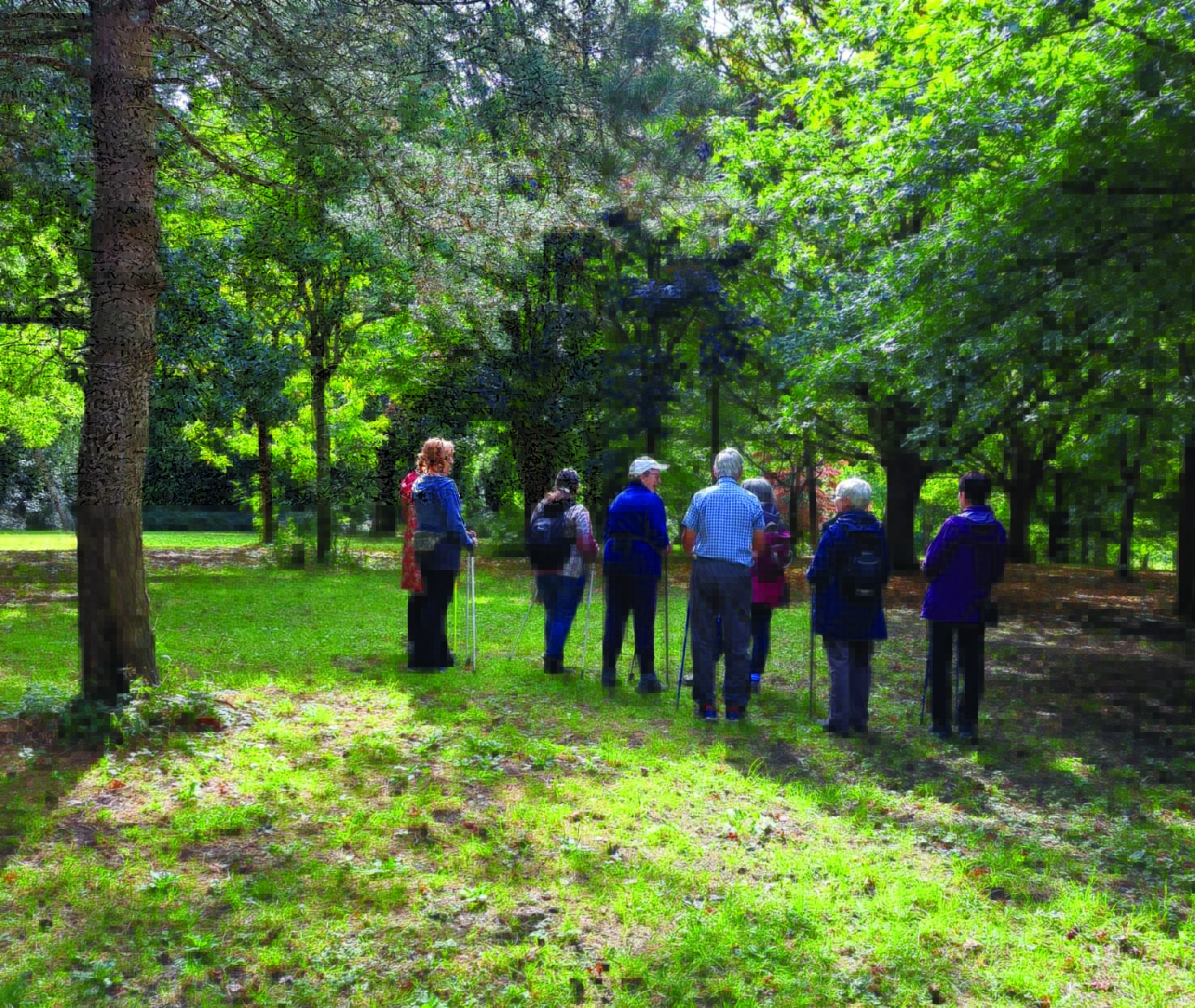 Nordic Walking Opportunities in Evington