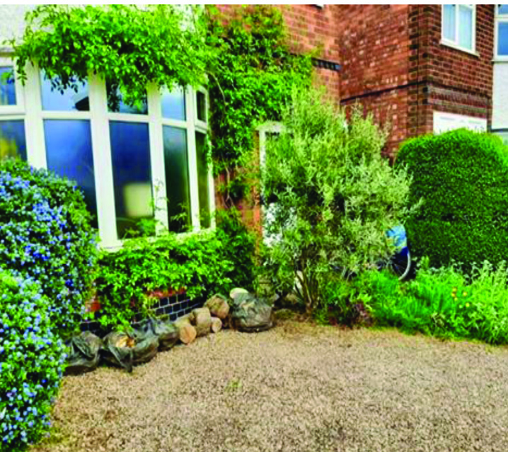 Greener Gardens – plants in front gardens help reduce the impacts of global heating