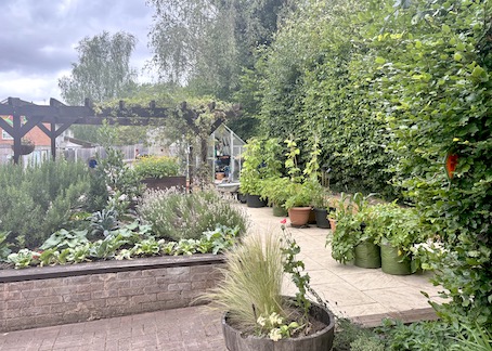 Headway Garden Stuns at Summer Open Day – 5th July 2025