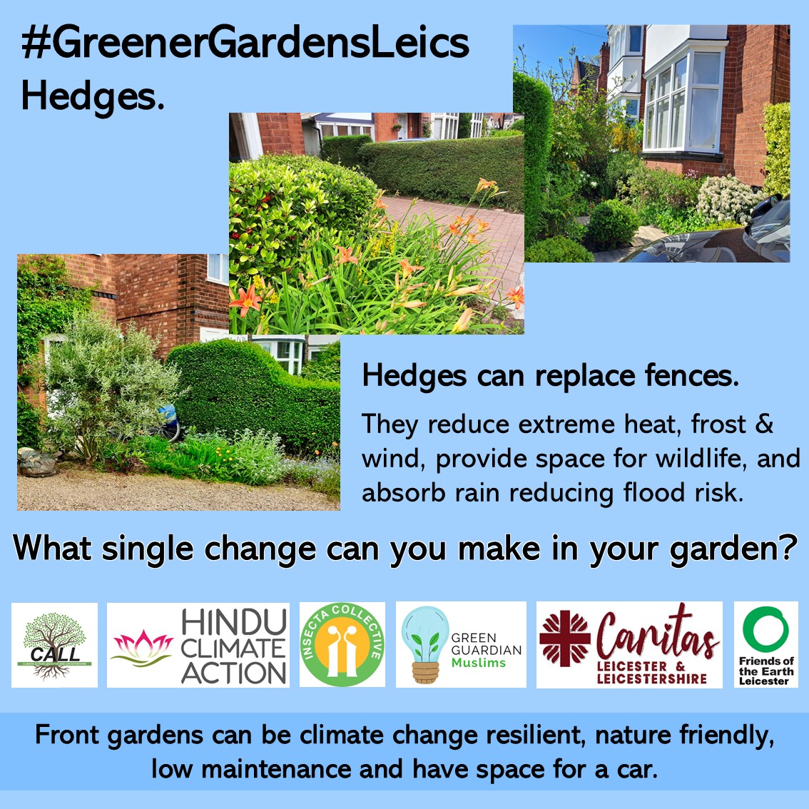 GreenerGardensLeics Hedges
