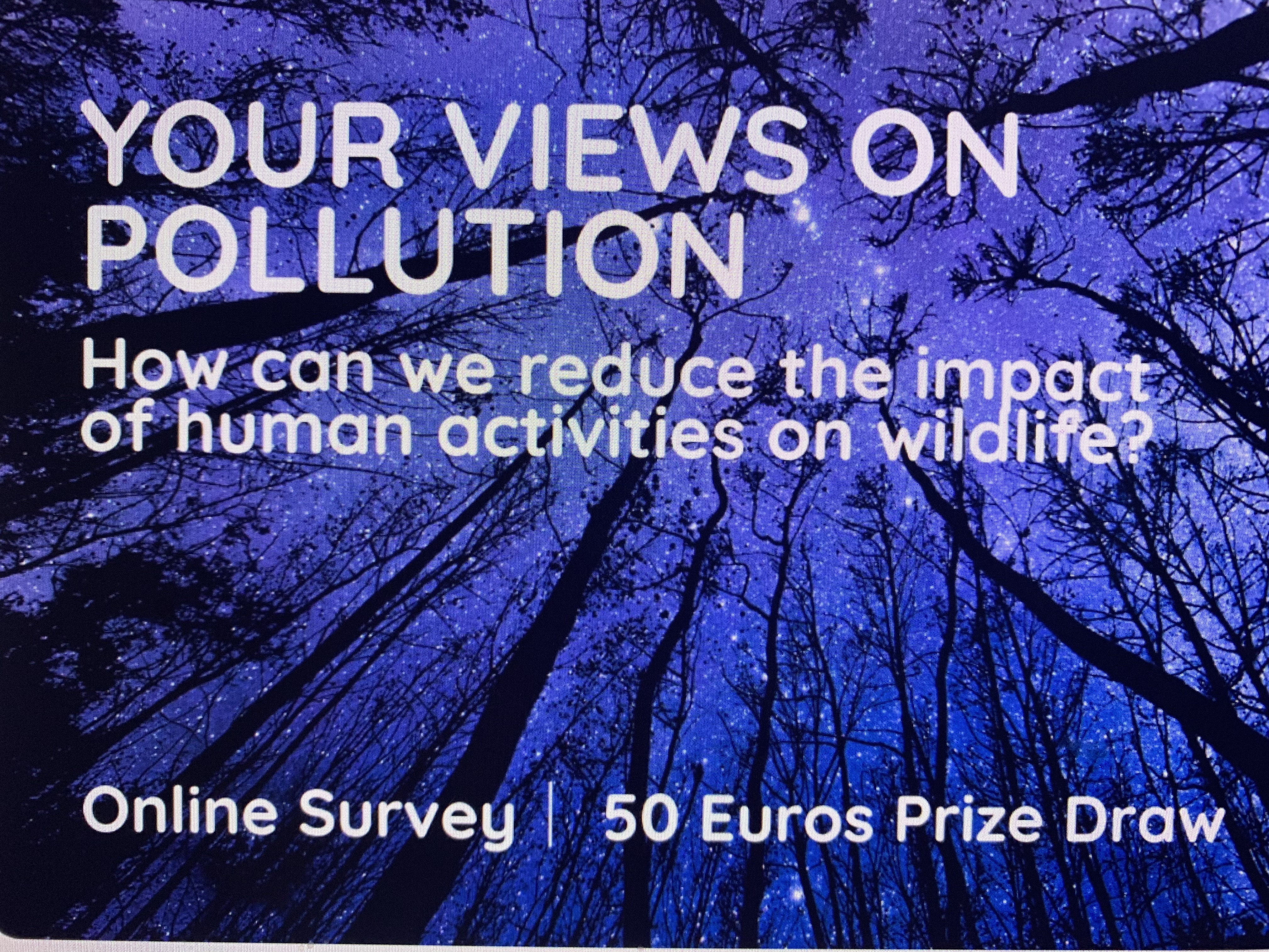 Buglife – Saving the small things that run the planet
