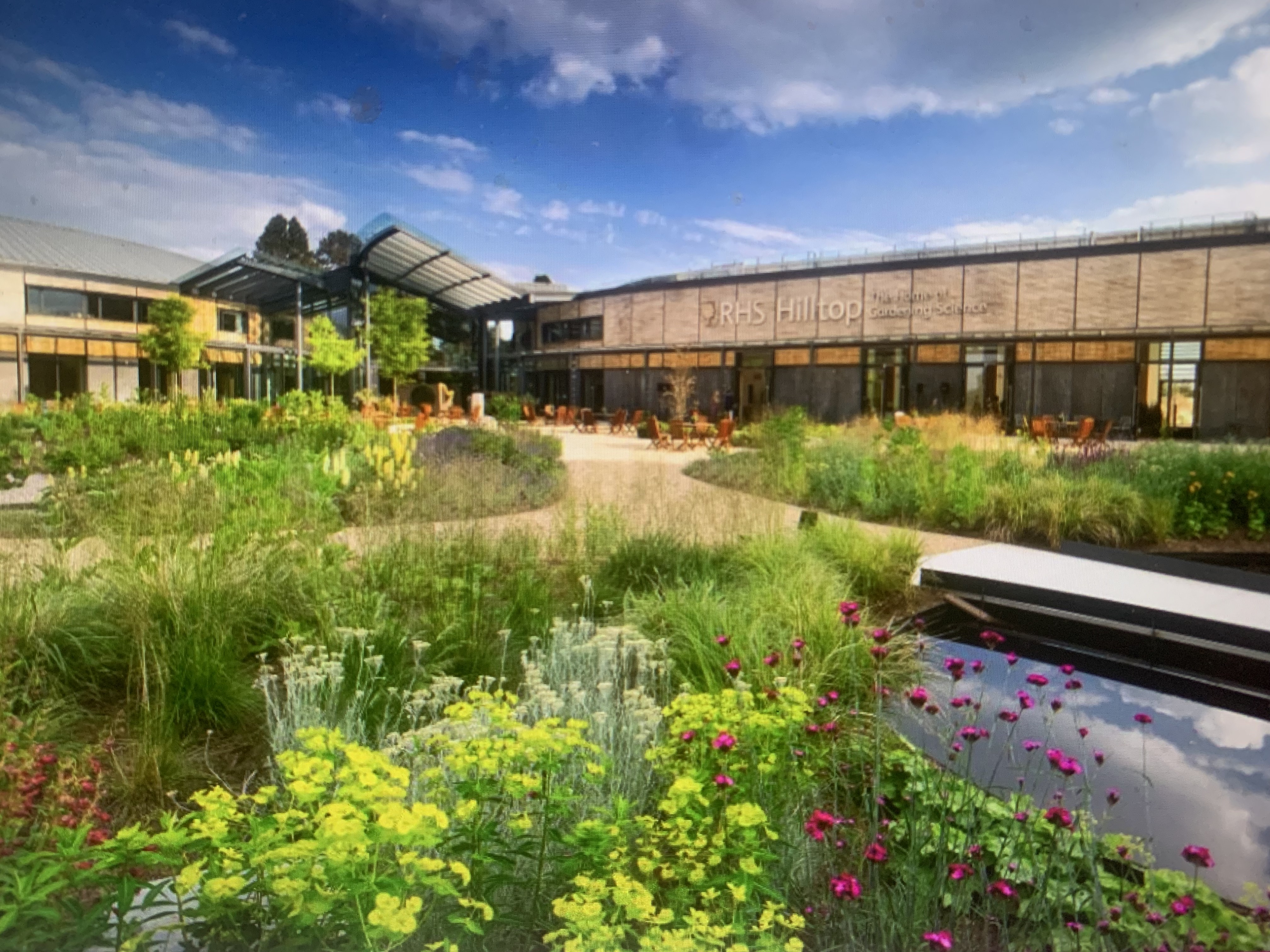 RHS share a blueprint for a wellbeing garden