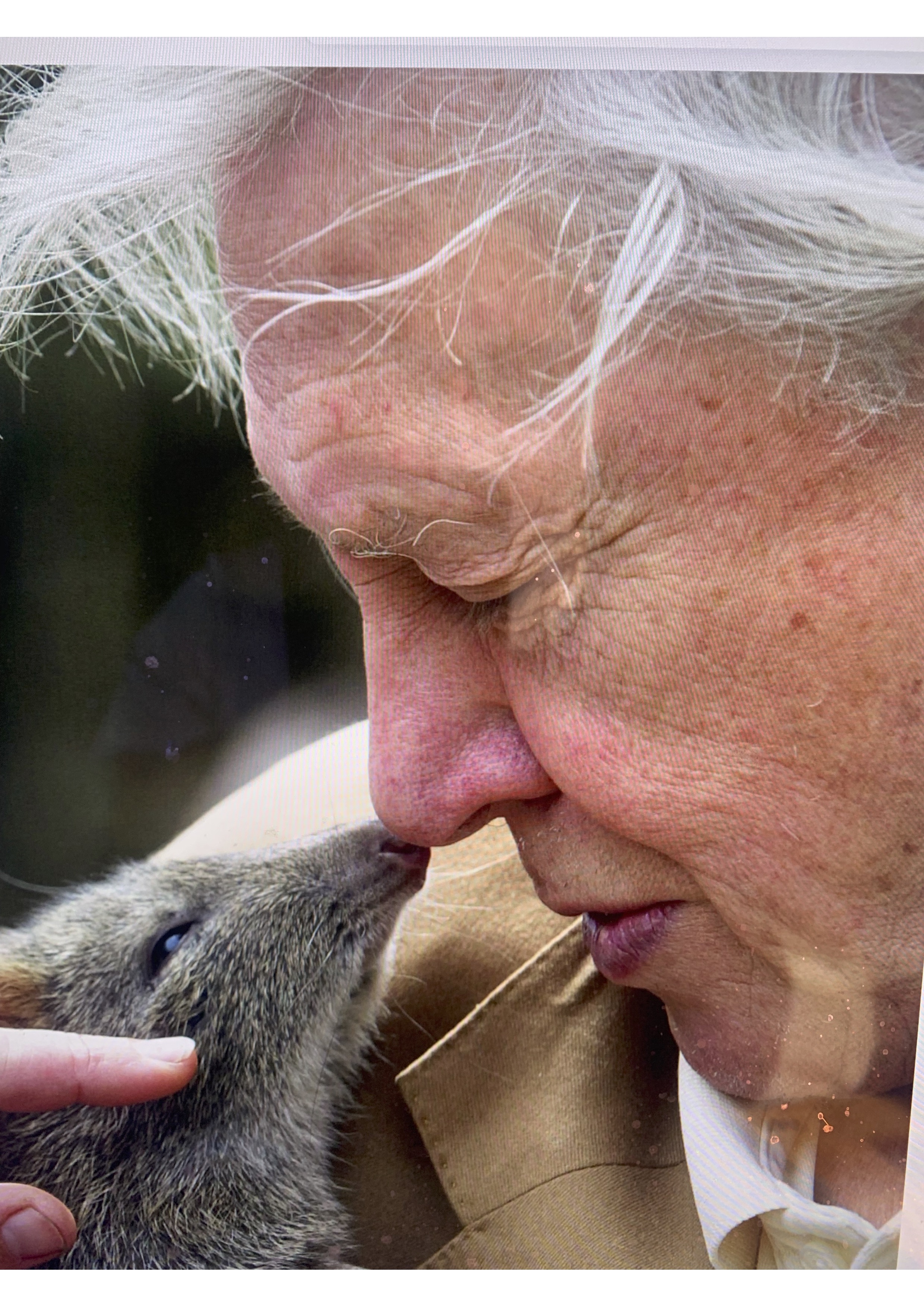 Sir David Attenborough at 100: Evington’s connection to a national treasure
